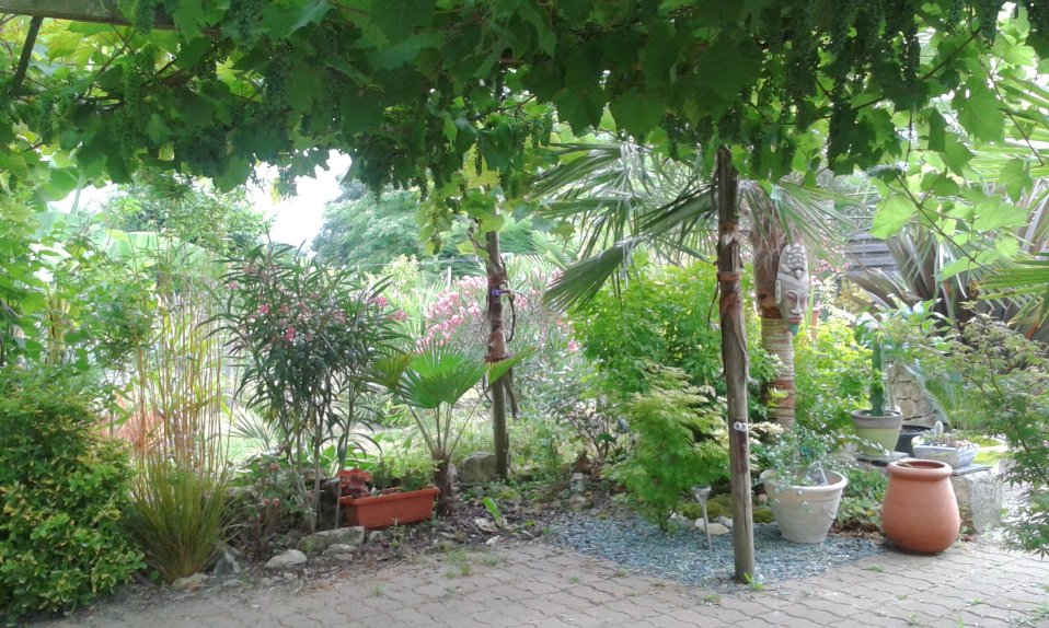 20160722_095211.jpg