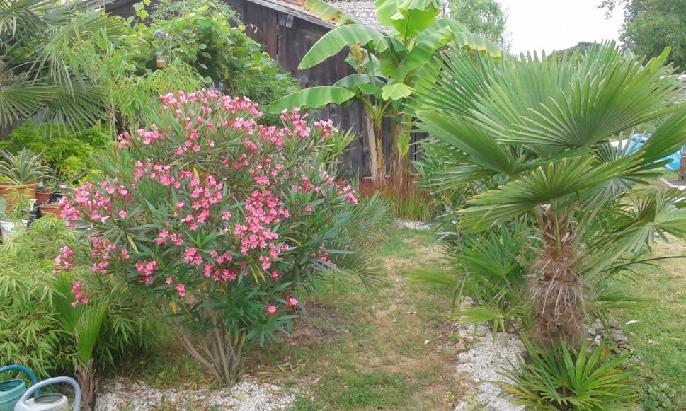 20160722_083242.jpg