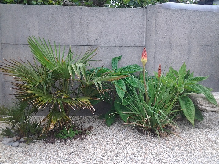 20160529_095455.jpg