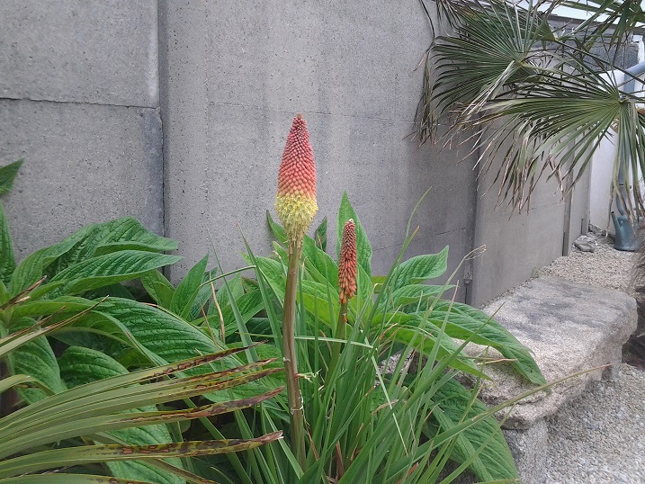 20160529_095600.jpg