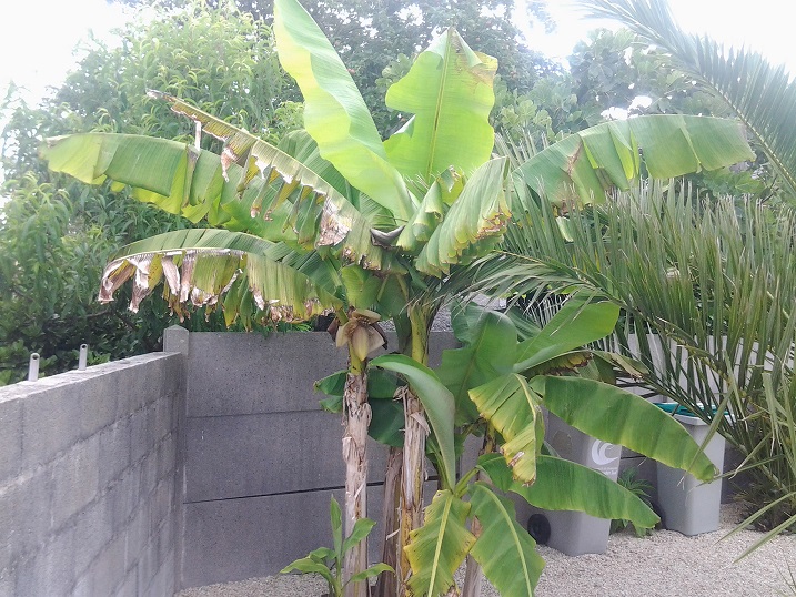 20160724_113223.jpg
