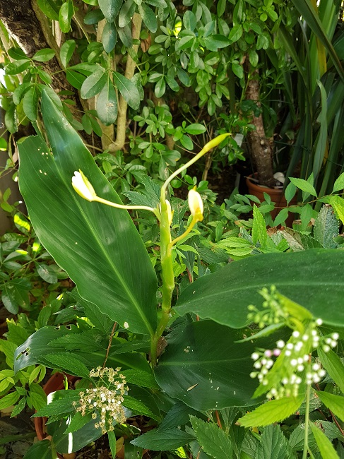 20160727_091043.jpg