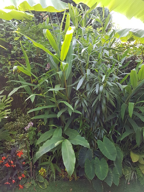 20160726_181925.jpg