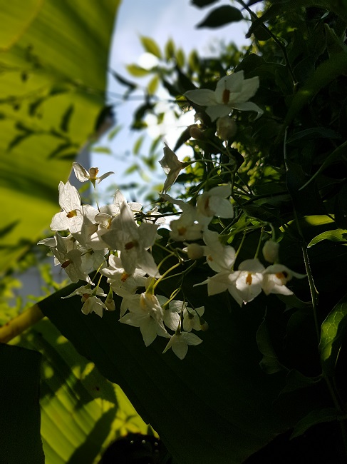 20160726_181447.jpg