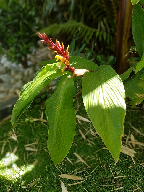 20160726_122513.jpg