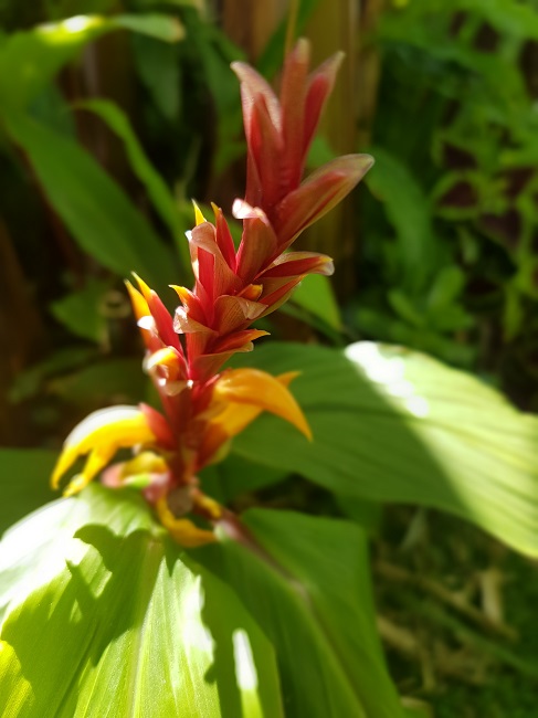 20160726_122546.jpg