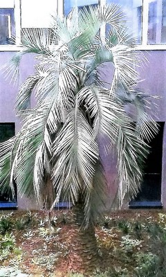 20150806_102626-1-1 (Copier).jpg
