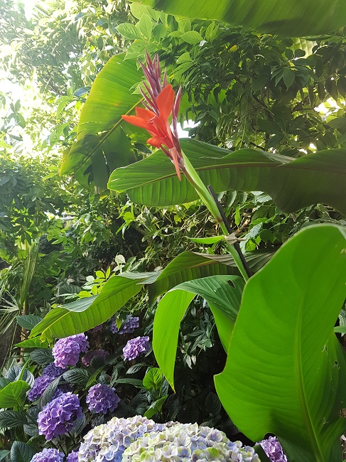 20160726_080428.jpg