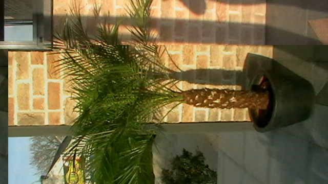 IMGA0857.JPG