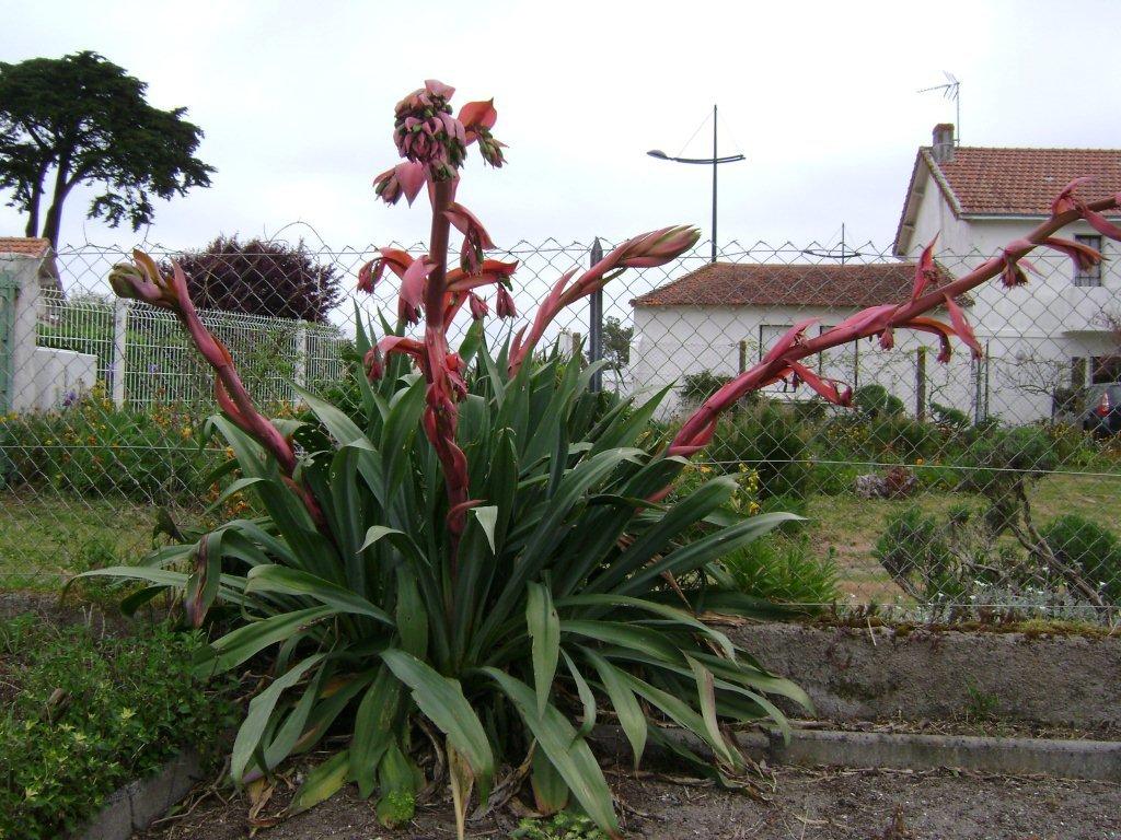 Chez Anselme