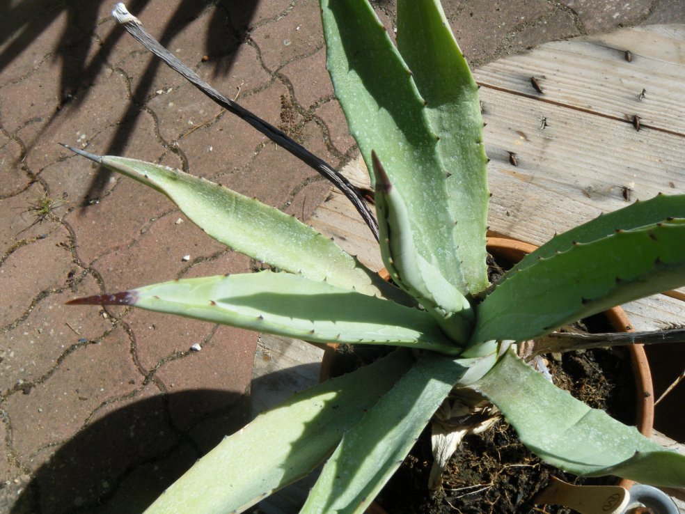 DSCF5035.JPG