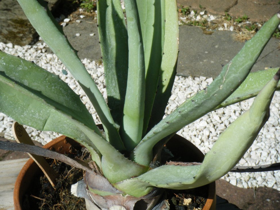DSCF5041.JPG