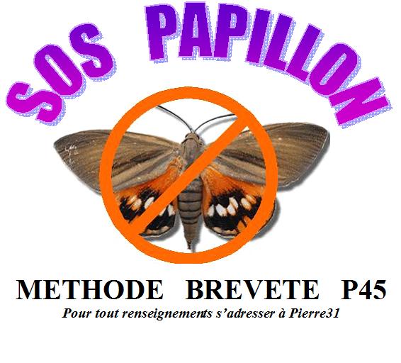 sos papillon.jpg