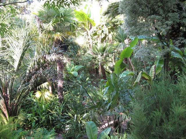 Photo 1362.jpg