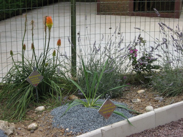 Photo 1392.jpg
