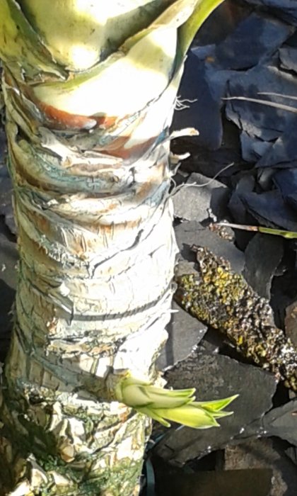 20160818_195559.jpg