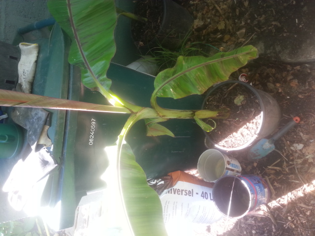 20120101_015751.jpg