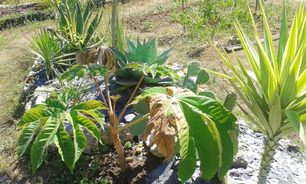 20160823_134907.jpg