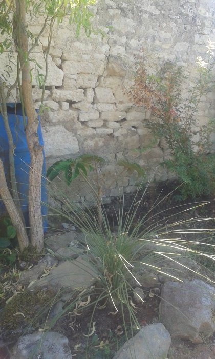 20160824_164121.jpg