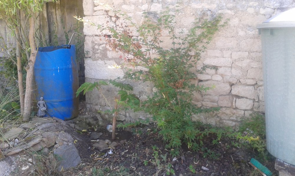 20160824_164049.jpg