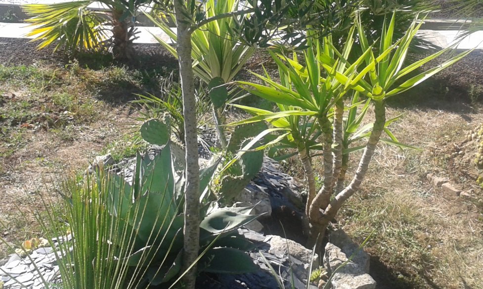20160824_164541.jpg