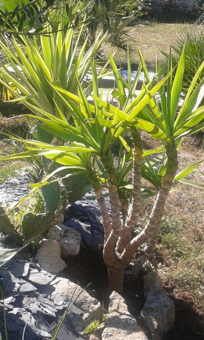 20160824_164444.jpg