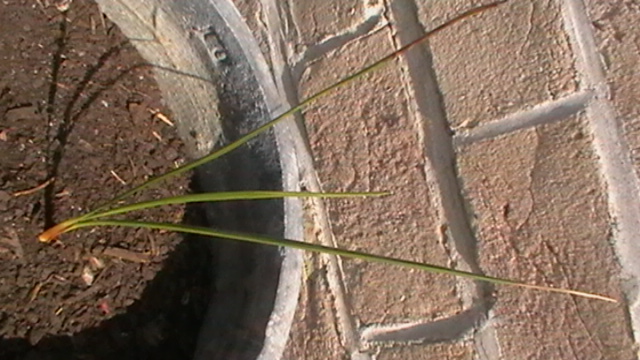 IMGA0862.JPG