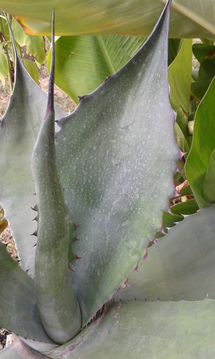 20160829_163941.jpg