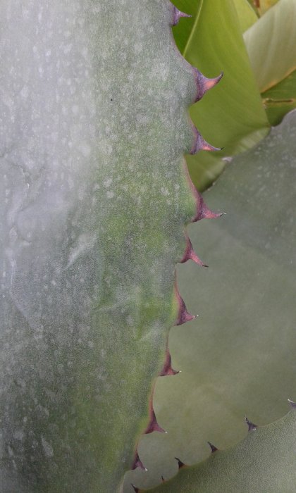 20160829_163959.jpg