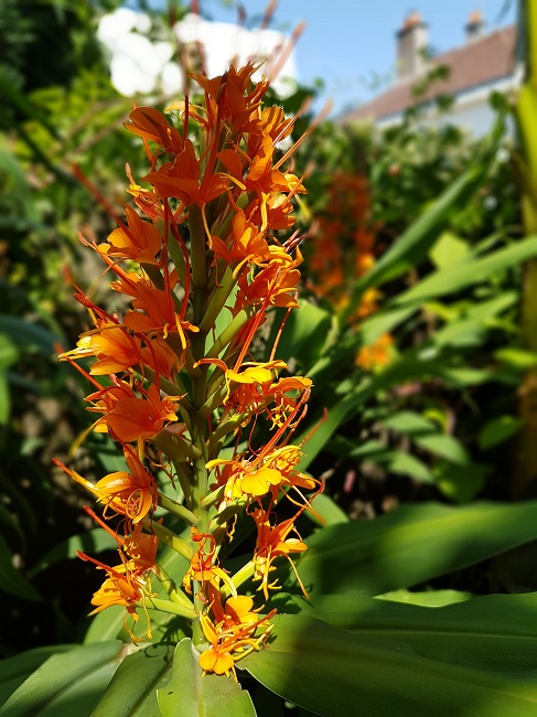 20160826_130014.jpg