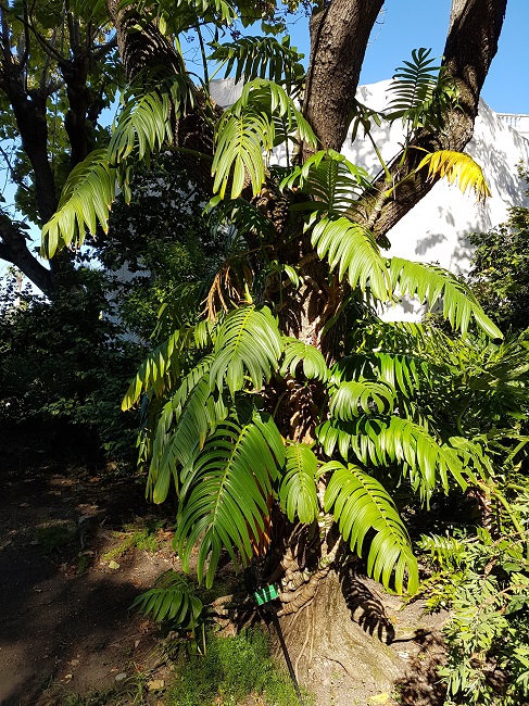 20160813_092816.jpg