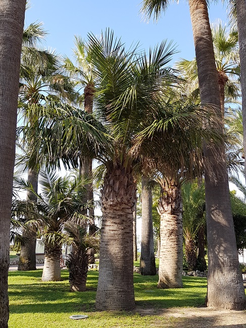 20160816_093005.jpg