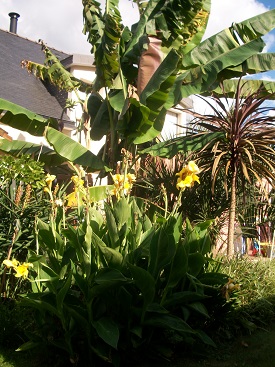 100_6800.JPG