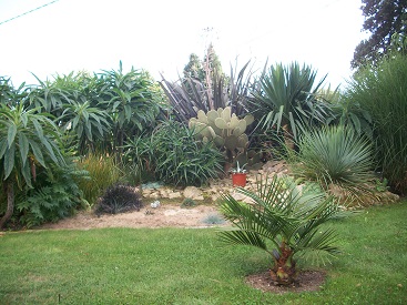 100_6801.JPG