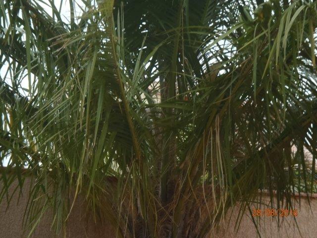 P8280011.jpg