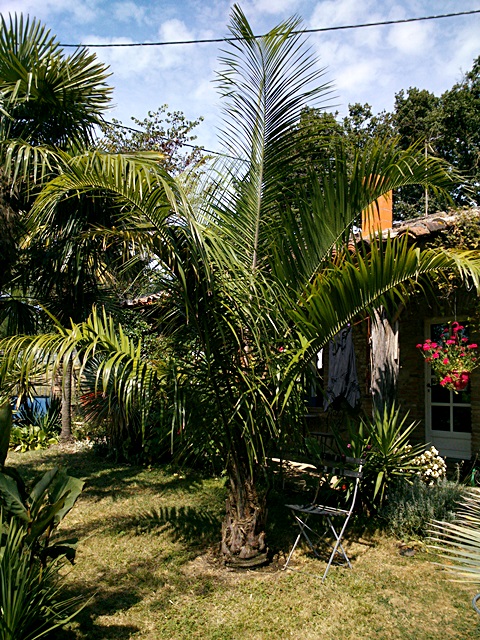 DSC_0020.jpg