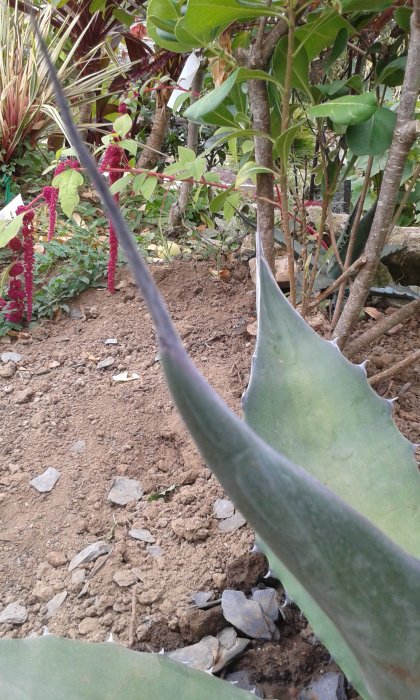20160905_145738.jpg