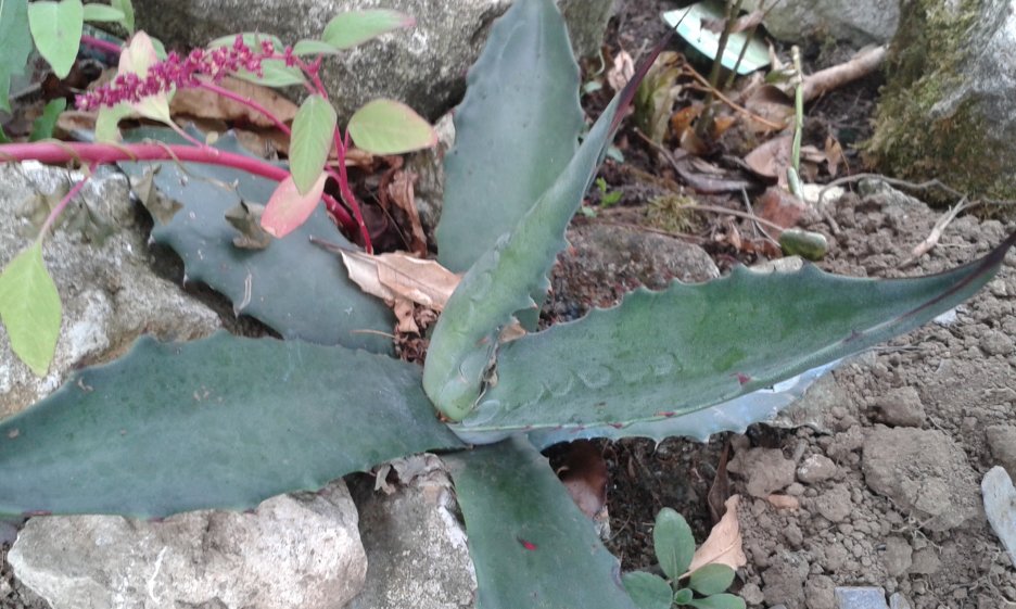 20160905_145842.jpg