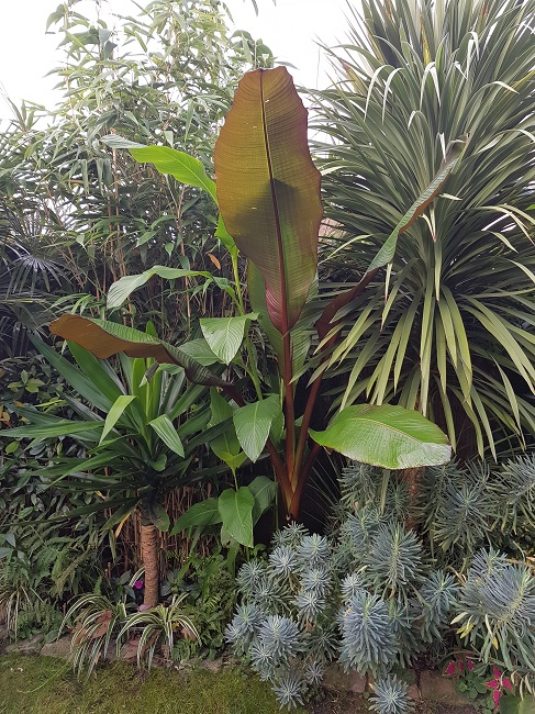 Jardin 05092016.jpg