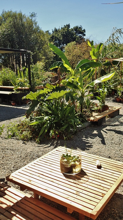 jardinière 1.JPG