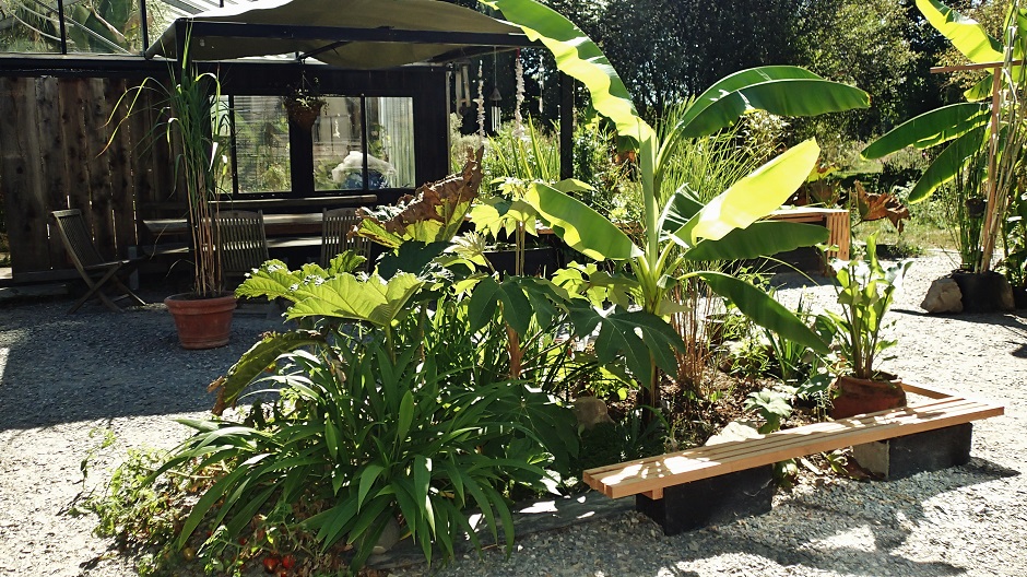 jardinière 2.JPG