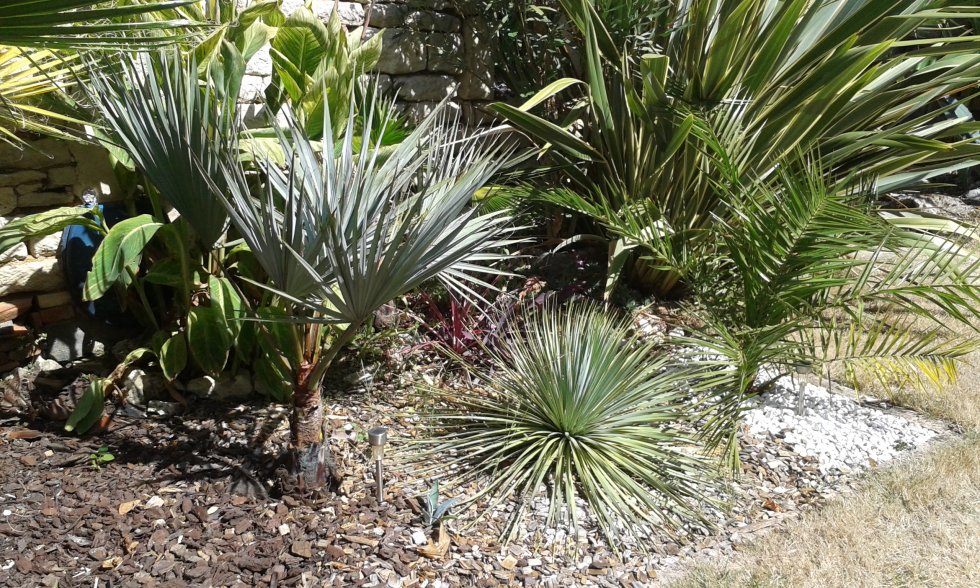 20160907_133720.jpg