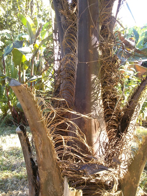 DSC_0067.jpg