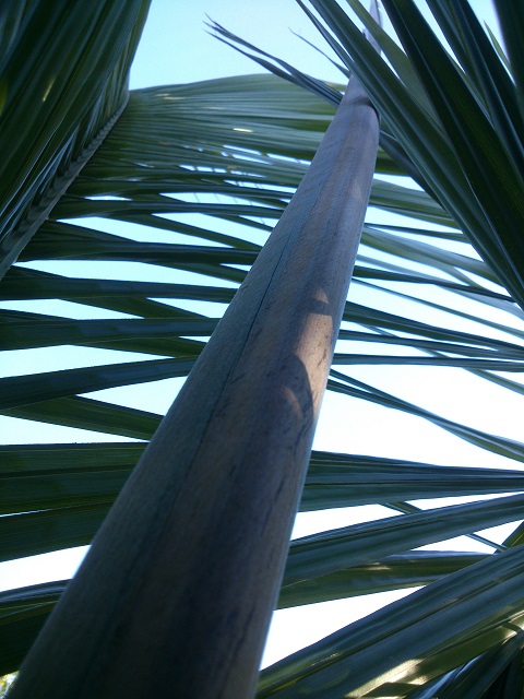 DSC_0066.jpg