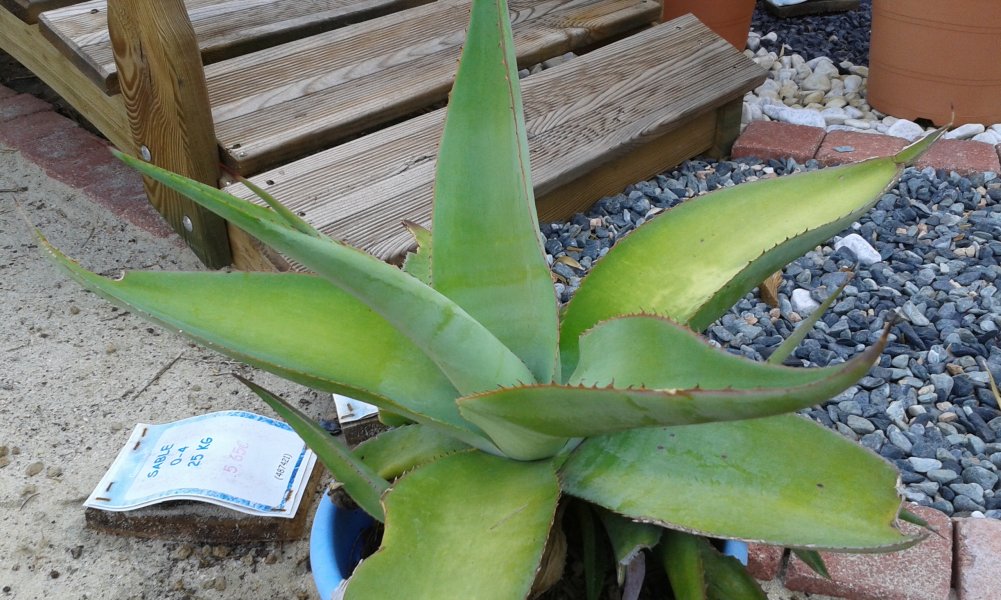 20160908_103834.jpg