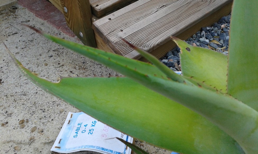 20160908_103838.jpg