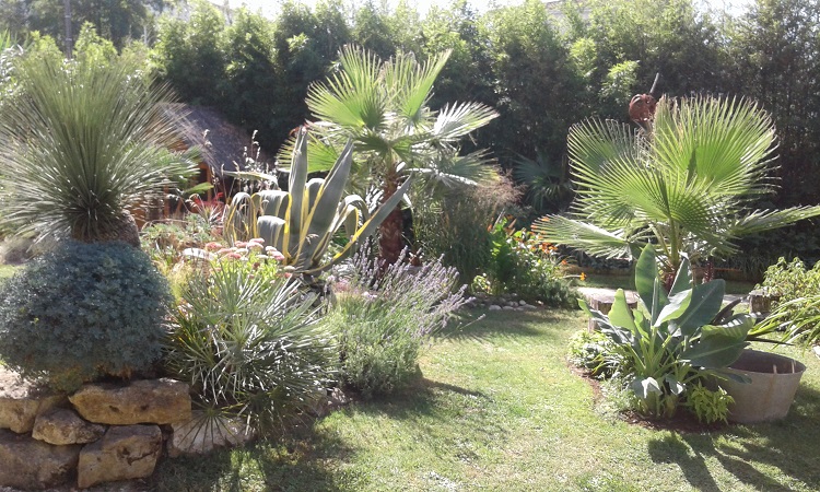 20160811_115745.jpg