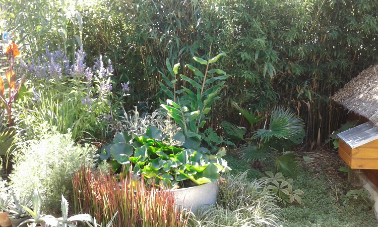 20160811_120005.jpg