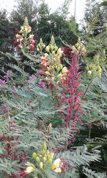 20160723_181822.jpg