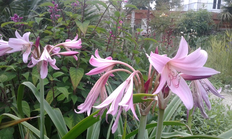 20160703_203615.jpg